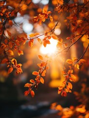 Poster - Sunlight Filtering Through Vibrant Orange Foliage During Autumn in a Serene Outdoor Setting Generative AI