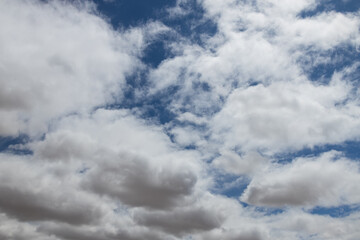 Wall Mural - Blue sky with white clouds