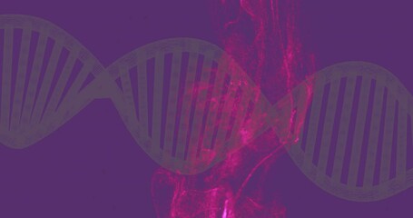 Poster - Grey DNA double helix stretching across dark purple flat background, with magenta smoke swirling