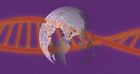 Poster - Semi transparent Earth globe floating in purple space, glowing orange DNA helix stretching behind