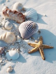 Fototapete - Seashells and Starfish Scattered Across Soft Pale Beach Sand on a Sunny Day Generative AI