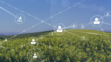 Poster - Digital network overlay animating rural canola field in 3D, connecting glowing icons across hills