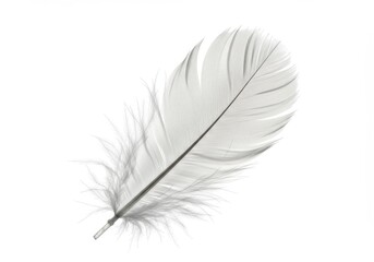 Poster - Single white feather isolated against a bright white background, close up