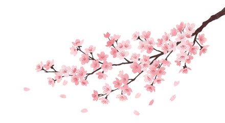 sakura branch with pink cherry blossoms, PNG