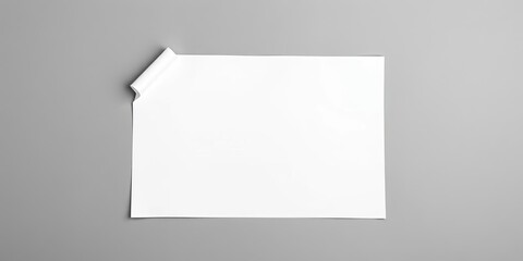 Wall Mural - Clean white paper sheet curled on gray background, ready for ideas, visual, space