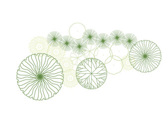 Wall Mural - architecture drawing plant tree top view plan greenery vegetation vector. design nature architectura