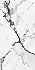 Poster - Abstract White Marble Texture with Black Veining