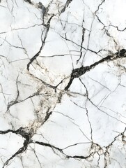 Poster - Abstract White Marble Texture with Gray and Black Veining