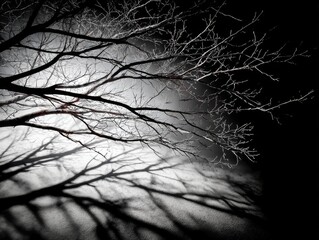 Aufkleber - Bare Branches and Their Shadows: A Study in Contrast and Light on a textured surface.