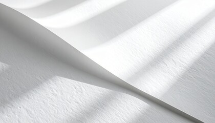 Poster - Soft curved white paper in natural light abstract texture study minimalist environment close-up viewpoint