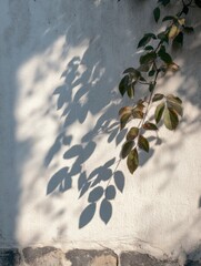 Poster - Shadows of Summer Leaves Playfully Dance on a Warm Wall in the Gentle Breeze Generative AI