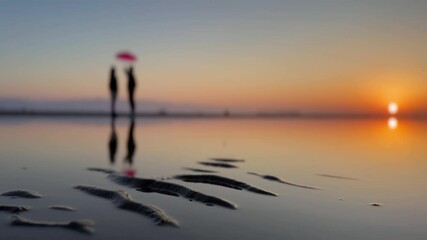 Wall Mural - 父母ヶ浜夕景映像
