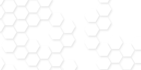 Fototapete - Abstract background with hexagon, modern abstract vector polygonal pattern. Futuristic honeycomb mosaic white background,white and gray hexagon honeycomb geometric copy space.	