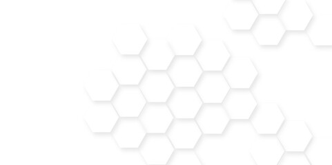 Fototapete - Abstract background with hexagon, modern abstract vector polygonal pattern. Futuristic honeycomb mosaic white background,white and gray hexagon honeycomb geometric copy space.	