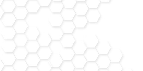 Fototapete - Abstract background with hexagon, modern abstract vector polygonal pattern. Futuristic honeycomb mosaic white background,white and gray hexagon honeycomb geometric copy space.	