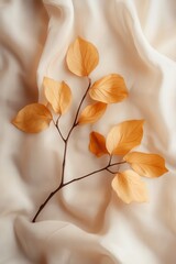 Poster - Autumnal branch on silk fabric still life overhead shot nature beauty simple aesthetic elegance