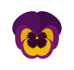 Wall Mural - pansy flower illustration on transparent background. cute flower flat design element. png illustrati