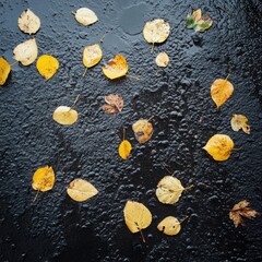 Poster - Fallen autumn leaves on wet asphalt, overhead shot, seasonal change, nature's palette, golden hues, urban landscape, abstract pattern