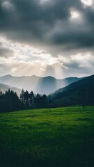 Poster - Sunbeams are streaming through clouds over a tranquil green meadow and forest, illuminating a picturesque mountain valley landscape, creating a serene and breathtaking scene