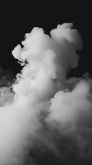 Poster - Abstract Monochrome Smoke Cloud on Black Background