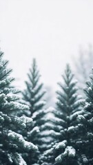 Poster - Snowflakes are falling on pine trees creating a blurred winter forest landscape, evoking a sense of tranquility and peace during a snowfall