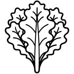 kale icon art vector