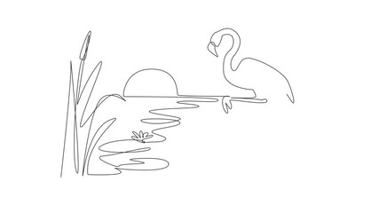 Poster - Self drawing animation of single continuous line drawing flamingo bird standing on the lake with sunset view. Amazing view towards evening. Environmental. World Wetlands Day. Full length animated