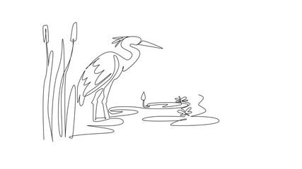Poster - Animated self drawing of single one line drawing stork standing on the lake. Wild grass growing around it. Beautiful twilight atmosphere. Habitat. World Wetlands Day. Full length single line animation