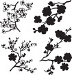 © SilhouetteStore - Cherry Blossom Branches Silhouette Vector Set, Floral Design Elements, Black and White