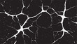 © Sara Studio - Cracked Black Surface Texture: Distressed Vector Background with White Fractures