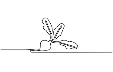 Poster - Continuous one line drawing of beetroot vegetable. Beetroot single line art vector illustration. Editable vector, Simple beetroot design in continuous line art drawing style. Grow beet plant minimal.