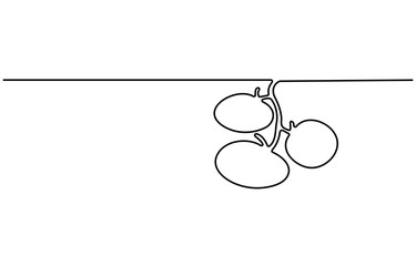 Poster - Fresh tomatoes drawn with continuous line in minimalism, one line, editable vector outline.
