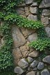 © intothestar - Ancient stone, ivy-covered, weathered texture, nature, grunge