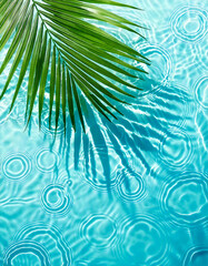 Poster - Palm leaf casts shadow on blue water with concentric ripples. Refreshing summer backdrop with tropical plant and water reflections.