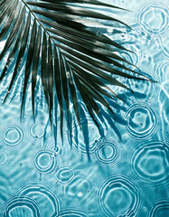 Poster - Palm leaf casting shadow on rippled water surface with concentric circles, creating a serene and refreshing natural scene.