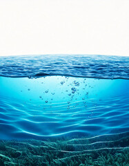 Poster - underwater view of sea grass on the ocean floor with light rays and bubbles rising toward the surfac