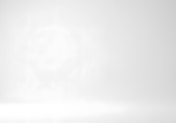 Poster - Abstract white and light gray studio background with subtle pattern ideal for product display, minimalist presentations, and web design