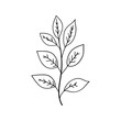 © NelaRov - Minimal Leaf Line Drawing. Elegant black and white illustration of a single leaf stem drawn in a clean minimalist style.