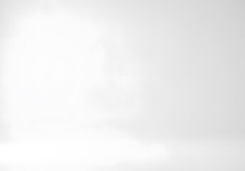 Poster - Soft White and Gray Gradient Background, a Clean Studio Backdrop for Product Displays and Presentations