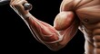 © 247MBK - Detailed Close Up of a Muscular Arm Showcasing Muscular Anatomy and Strength in Motion