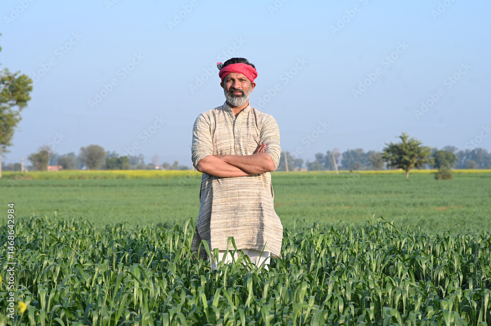 Indian farmer standing on crop plant in his Wheat field Stock Photo ...