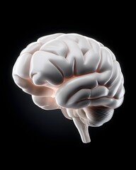Poster - Transparent glass render of the human brain with delicate neural network suspended within, no base or color, smooth surface, detailed lighting highlights, solid black backdrop, realistic anatomy,