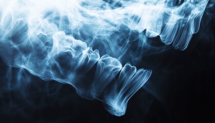 Aufkleber - Detailed Blue X-Ray Image of Human Teeth and Jaw Anatomy with Radiographic Scan Showing Bone Structure and Dental Health on Dark Abstract Background