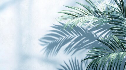 Poster - Soft Minimalist Background with Green Palm Shadows