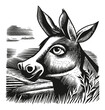 © Gasspoll - Detailed Black and White Vector Illustration of a Donkey Head