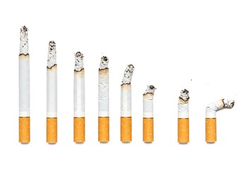 Line of cigarettes showing the process of burning on a white background