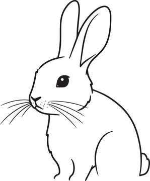 Rabbit Vector