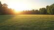 © ahmad - Golden sunset over a grassy field with trees.  Possible use Stock photo for nature, serenity, or backgrounds