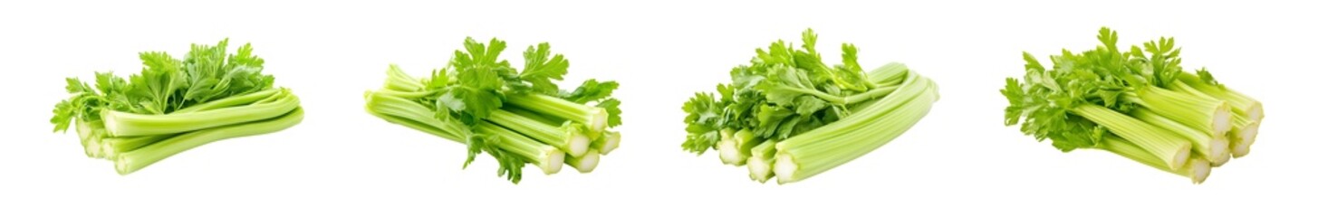 Poster - Close-up view of several bunches of bright green celery stalks arranged on a light green surface.