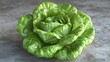 © Anisa - Fresh, vibrant lettuce head with detailed green foliage.